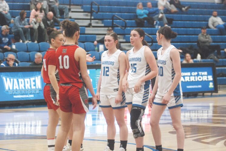 Mid-Ohio Valley Prep Basketball Statistical Leaders